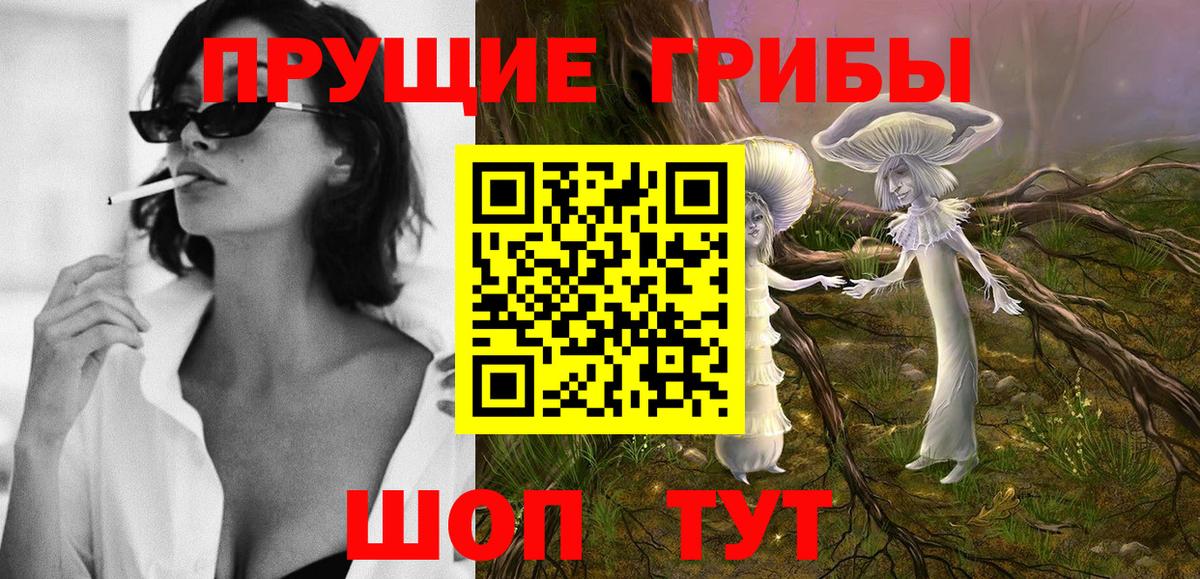 Галлюциногенные грибы Psilocybe  Псилоцибиновые грибы мицелий  купить наркоту  Лесной  Вход с VPN 