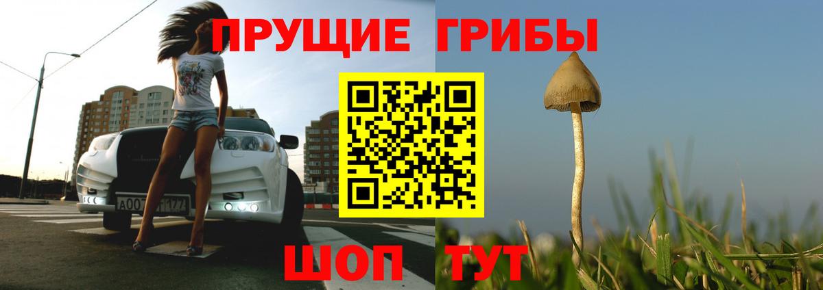 Альфа ПВП Лесной