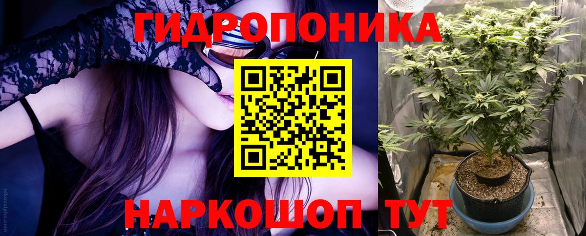 Бошки марихуана White Widow  Каннабис Ganja  Марихуана конопля  Канабис MAZAR  Лесной  Вход с VPN 